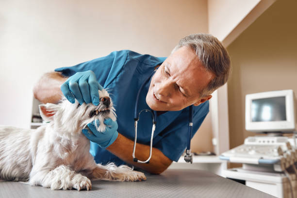 Best Walk-In Emergency Dental Services in Taylor Mill, KY